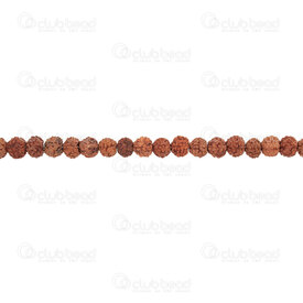 1110-5003-5mm - Bille Graine Rudraksha Forme Naturelle 5mm Brun 108pcs  Perles Bodhi 1110-5003-5mm,billes  bois,montreal, quebec, canada, beads, wholesale