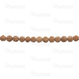 1110-5003 - Seed Bead Rudraksha Natural Shape 7mm Brown 112pcs  Bodhi Beads 1110-5003,Finished jewelry,Seed,Bead,Rudraksha,Natural,Seed,7mm,Round,Natural Shape,Brown,Brown,China,112pcs,Bodhi beads,montreal, quebec, canada, beads, wholesale