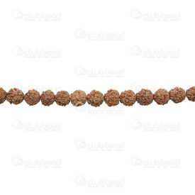 1110-5205 - Seed Mala Rudraksha Natural Shape Bead 8MM Natural 112pcs  Bodhi Beads 1110-5205,Beads,Seeds,Mala,Rudraksha,Natural,Seed,8MM,Natural Shape,Bead,Brown,Natural,China,112pcs,Bodhi beads,montreal, quebec, canada, beads, wholesale