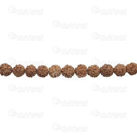 1110-5301 - Seed Mala Rudraksha Bead 9MM Brown 112pcs Buddha Bracelet on elastic cord 1110-5301,Finished jewelry,112pcs,Mala,Rudraksha,Natural,Seed,9MM,Bead,Brown,112pcs,Buddha Bracelet on elastic cord,montreal, quebec, canada, beads, wholesale