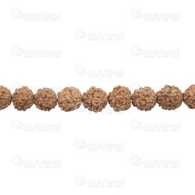 1110-5701 - Seed Bead Rudraksha Natural Shape 9.5-10mm Brown 112pcs  Bodhi Beads 1110-5701,Finished jewelry,Seed,Bead,Rudraksha,Natural,Seed,10mm,Round,Natural Shape,Brown,Brown,China,112pcs,Bodhi beads,montreal, quebec, canada, beads, wholesale