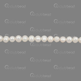 1113-0123-021 - Fresh Water Pearl Bead Round 6x6.5mm White rimmed 0.5mm hole 13.5" String 1113-0123-021,Beads,montreal, quebec, canada, beads, wholesale