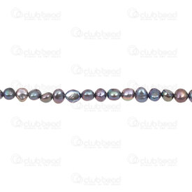 1113-0269-01 - Fresh Water Pearl Bead Flat Potato (approx. 6x7mm) Peacock no curve 0.5mm Hole 13" String 1113-0269-01,paon,montreal, quebec, canada, beads, wholesale
