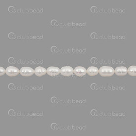 1113-0313-01 - Perle d'Eau Douce Bille Riz approx. 7x9mm Blanc Trou 0.5mm Corde 13 pouces 1113-0313-01,montreal, quebec, canada, beads, wholesale