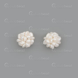 1113-0423 - Perle d'Eau Douce Blanc Fleur 3-4mm 2pcs 1113-0423,montreal, quebec, canada, beads, wholesale
