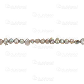 1113-9050-03 - Perle d’Eau Douce Bille Petite Forme Libre Vert de Gris 4-6mm 1 Corde 1113-9050-03,1113-9050,montreal, quebec, canada, beads, wholesale