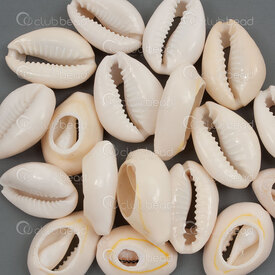 1114-0012-03WH - Shell Pendant Cowrie app. 25x17x9mm Natural 50g (app. 15pcs) 1114-0012-03WH,coquillage,montreal, quebec, canada, beads, wholesale