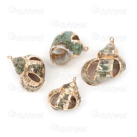 1114-0017-GL - Shell Pendant Conch (approx. 28x22mm) with Gold Edge and Loop 5pcs 1114-0017-GL,11.28,montreal, quebec, canada, beads, wholesale