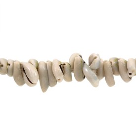 *1114-0101 - Shell Bead Cowrie App. 10x16mm 500gr *1114-0101,montreal, quebec, canada, beads, wholesale