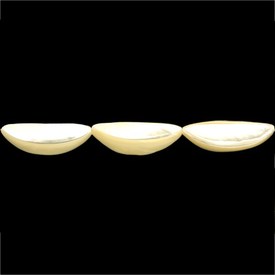 *1114-0115 - Shell Bead Troca Navette Puffed 44X77MM White 16'' String *1114-0115,coquillage d,16'' String,Bead,Troca,Natural,Shell,44X77MM,Navette,Puffed,White,White,China,16'' String,montreal, quebec, canada, beads, wholesale