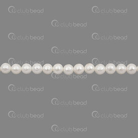 1114-5801-06S1 - Shell Pearl Bead Stellaris Round 6mm White Stardust 0.5mm hole 15.5" String (app65pcs) 1114-5801-06S1,shell beads,montreal, quebec, canada, beads, wholesale