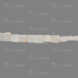 *1114-9912-113 - Shell Bead Square Flat 12MM Natural App. 15'' String  Limited Quantity! *1114-9912-113,montreal, quebec, canada, beads, wholesale