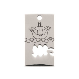 *1413-1413-01 - Stainless Steel 316 Pendant Zodiac Sign Rectangle Aquarius 20X35MM 1pc *1413-1413-01,Clearance by Category,Stainless Steel,1pc,Pendant,Zodiac Sign,Stainless Steel 316,20X35MM,Rectangle,Aquarius,Grey,China,1pc,montreal, quebec, canada, beads, wholesale