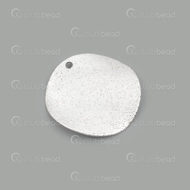 1413-5037-SL - Brass Pendant Plate Round 20x0.5mm Curved 1.5mm hole Stardust Nickel 20pcs 1413-5037-SL,Pendants,Metal,montreal, quebec, canada, beads, wholesale