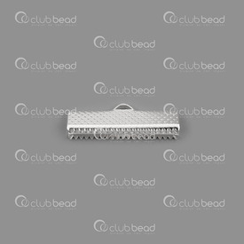 1703-0305-SL - Metal Ribbon Claw Connector 25mm Silver Nickel Free 50pcs 1703-0305-SL,Findings,Connectors,Ribbons claws,Silver,Metal,Ribbon Claw Connector,25MM,Silver,Nickel Free,50pcs,China,montreal, quebec, canada, beads, wholesale