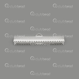 1703-0307-SL - Metal Ribbon Claw Connector 35mm Silver Nickel Free 50pcs 1703-0307-SL,Findings,Connectors,Ribbons claws,Metal,Ribbon Claw Connector,35MM,Silver,Nickel Free,50pcs,China,montreal, quebec, canada, beads, wholesale