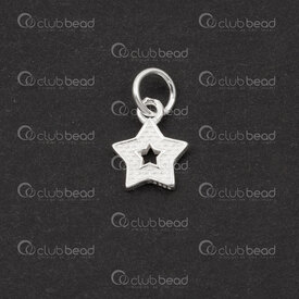 1754-1021-69 - Sterling Silver 925 Charm Star 10x8x1.5mm with Ring 2pcs 1754-1021-69,(6),montreal, quebec, canada, beads, wholesale