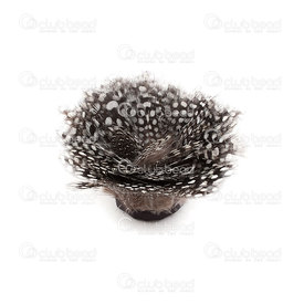 2501-0200-01 - Plume Volaille Guinée 5-6cm Naturel 2501-0200-01,5-6,montreal, quebec, canada, beads, wholesale