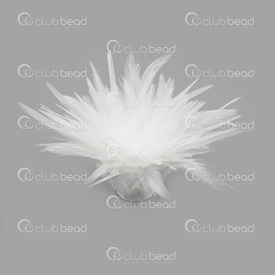 2501-0211-15 - Rooster Feather White 10-15cm Bunch(1m) 2501-0211-15,10-15cm,Feather,Rooster,White,10-15cm,Bunch(1m),China,montreal, quebec, canada, beads, wholesale