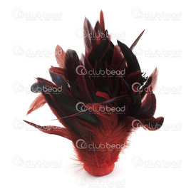 2501-0211-23 - Plume Coq Effet paon Rouge 15-20cm Bouquet(1m) 2501-0211-23,Plumes naturelles,Feather,Rooster,Peacock Shine in Red,15-20cm,Bunch(1m),Chine,montreal, quebec, canada, beads, wholesale