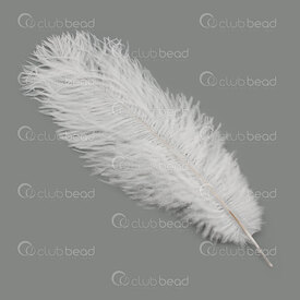2501-0212-03 - Feather Ostrich White 12-14\'\' 1pc 2501-0212-03,Feathers natural,montreal, quebec, canada, beads, wholesale