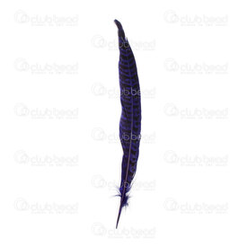 2501-0214-07 - Feather Male Pheasant Royal Blue 20-25cm 10pcs 2501-0214-07,montreal, quebec, canada, beads, wholesale