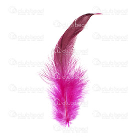 2501-0215-01 - Feather Rooster Fuchsia 12-15cm App. 6.5gr 50pcs 2501-0215-01,12-15cm,Feather,Rooster,Fuchsia,12-15cm,App. 6.5gr,China,montreal, quebec, canada, beads, wholesale