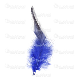 2501-0215-03 - Plume Coq Bleu App. 6.5gr 50pcs  12-15cm 2501-0215-03,12-15cm,Feather,Rooster,Blue,12-15cm,App. 6.5gr,Chine,montreal, quebec, canada, beads, wholesale
