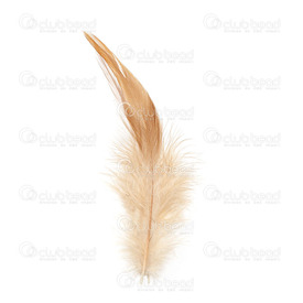 2501-0215-05 - Plume Coq Brun App. 6.5gr 50pcs  12-15cm 2501-0215-05,Brown,Feather,Rooster,Brown,12-15cm,App. 6.5gr,Chine,montreal, quebec, canada, beads, wholesale