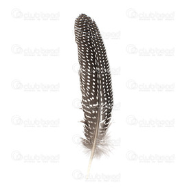 2501-0215-07 - Plume Coq sauvage Naturel App. 8.5gr  18-22cm 2501-0215-07,Natural,Feather,Wild Rooster,Natural,18-22cm,App. 8.5gr,Chine,montreal, quebec, canada, beads, wholesale