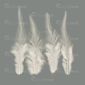 2501-0215-09 - Feather Rooster Off White 12-15cm App. 6.5gr 50pcs 2501-0215-09,rooster,montreal, quebec, canada, beads, wholesale