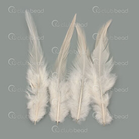 2501-0215-13 - Plume Coq Beige App. 6.5gr 50pcs  12-15cm 2501-0215-13,Plumes naturelles,montreal, quebec, canada, beads, wholesale