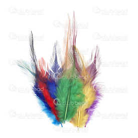 2501-0215-mix - Feather Rooster Assorted Colors 12-15cm App. 6.5gr 50pcs 2501-0215-mix,12-15cm,Feather,Rooster,Assorted Colors,12-15cm,App. 6.5gr,China,montreal, quebec, canada, beads, wholesale