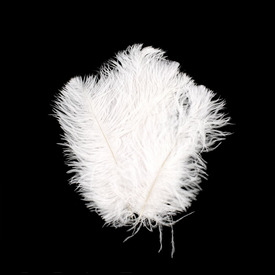 2501-0216-01 - Feather Ostrich White 20-25cm 10pcs 2501-0216-01,autruche,montreal, quebec, canada, beads, wholesale