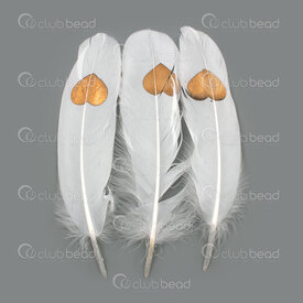 2501-0217-13 - Plume Oie Blanche Avec Motif Cœur Or 14-22cm 50pcs 2501-0217-13,Plumes naturelles,montreal, quebec, canada, beads, wholesale