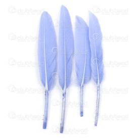 2501-0223-03 - Plume Canard Menthe 50pcs App. 15cm / 6'' 2501-0223-03,Plumes naturelles,20pcs,Feather,Duck,Peppermint,App. 15cm / 6'',20pcs,Chine,montreal, quebec, canada, beads, wholesale