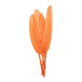 *2501-0223-07 - Plume Canard Orange 20pcs  App. 15cm / 6'' *2501-0223-07,Feather,Duck,Orange,App. 15cm / 6'',20pcs,Chine,montreal, quebec, canada, beads, wholesale