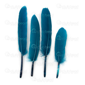 2501-0223-21 - Plume Canard Bleu Paon 15cm 50pcs Chime 2501-0223-21,Plumes naturelles,montreal, quebec, canada, beads, wholesale