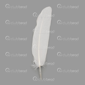 2501-0224-01 - Feather Goose White App. 20cm 50pcs 2501-0224-01,White,Feather,Goose,White,App. 20cm,50pcs,China,montreal, quebec, canada, beads, wholesale