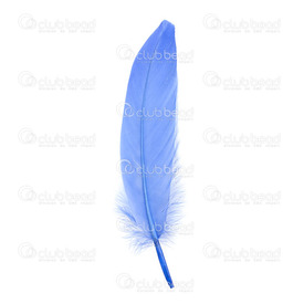 2501-0224-05 - Plume Oie Bleu 50pcs  App.20cm 2501-0224-05,Blue,Feather,Goose,Blue,App. 20cm,50pcs,Chine,montreal, quebec, canada, beads, wholesale