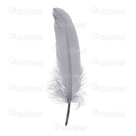 2501-0224-25 - Goose Feather Grey 15-25cm App.7g. 2501-0224-25,15-25cm,Feather,Goose,Grey,15-25cm,app.7g.,China,montreal, quebec, canada, beads, wholesale