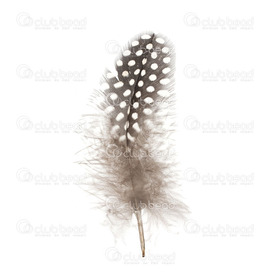 2501-0225-05 - Plume Pintade avec points Naturel 4gr  5-10cm 50 pcs 2501-0225-05,4gr,Feather,Dotted Guinea Fowl,Natural,5-10cm,4gr,Chine,montreal, quebec, canada, beads, wholesale