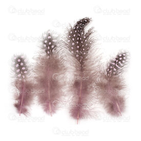 2501-0225-11 - Plume Pintade avec points Mauve Claire 5-10cm 50pcs 2501-0225-11,Plumes naturelles,montreal, quebec, canada, beads, wholesale