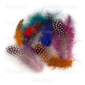 2501-0225-MIX - Feather Dotted Guinea Fowl Mix Color 5-10cm 4gr 2501-0225-MIX,plumes,montreal, quebec, canada, beads, wholesale
