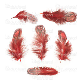 2501-0229-01 - Feather wild chicken Red 4-7cm 50pcs 2501-0229-01,4-7cm,Feather,wild chicken,Red,4-7cm,50pcs,montreal, quebec, canada, beads, wholesale