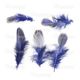 2501-0229-03 - Feather wild chicken Dark Blue 4-7cm 50pcs 2501-0229-03,poule,Feather,wild chicken,Dark Blue,4-7cm,50pcs,montreal, quebec, canada, beads, wholesale