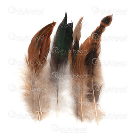 2501-0231-03 - Wild Chicken Feather Natural Brown 10-17cm 50pcs 2501-0231-03,montreal, quebec, canada, beads, wholesale