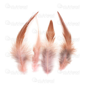 2501-0250-01 - Plume Coq Brun/Rose 10-15cm 50pcs 2501-0250-01,Plumes naturelles,Feather,Rooster,Brown/Pink,10-15cm,50pcs,Chine,montreal, quebec, canada, beads, wholesale