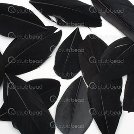 2501-0261-01 - Plume Oie Noir 5-8cm 50pcs 2501-0261-01,Black,Feather,Goose,Black,5-8cm,50pcs,Chine,montreal, quebec, canada, beads, wholesale