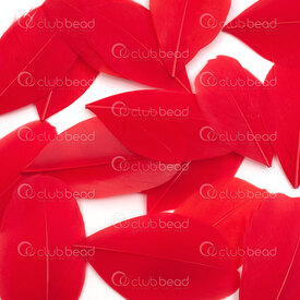 2501-0261-05 - Plume Oie Rouge 5-8cm 50pcs 2501-0261-05,5-8cm,Feather,Goose,Red,5-8cm,50pcs,Chine,montreal, quebec, canada, beads, wholesale